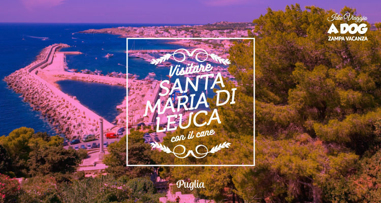 Visitare Santa Maria di Leuca con il cane