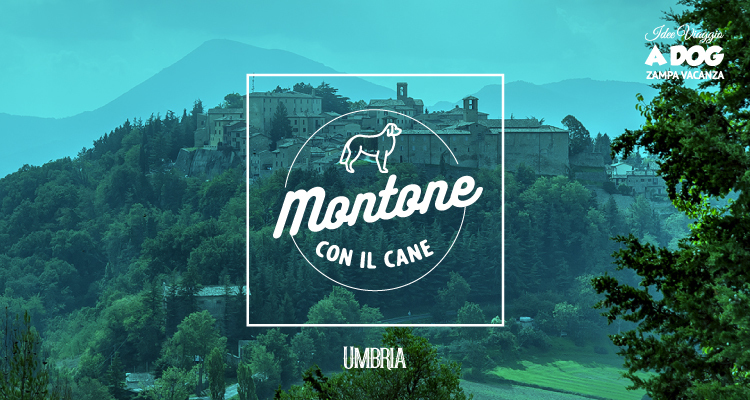 Montone con il cane