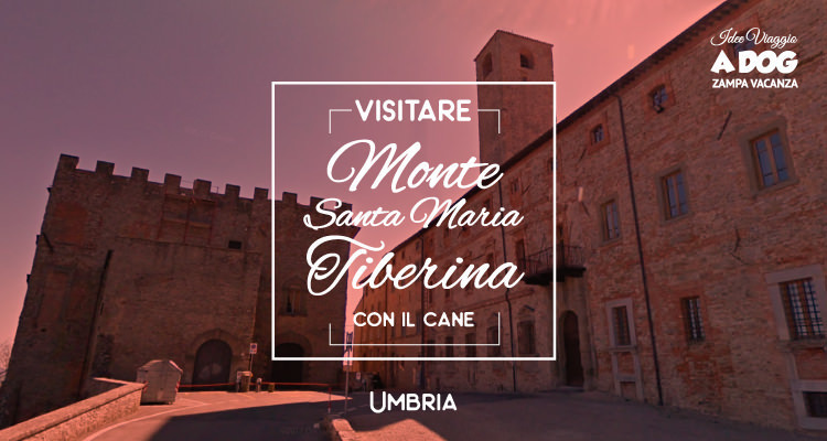 Visitare Monte Santa Maria Tiberina con il cane