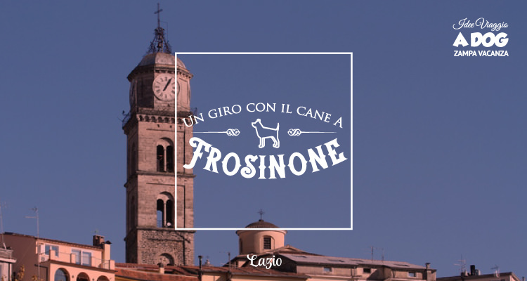 Un giro con il cane a Frosinone