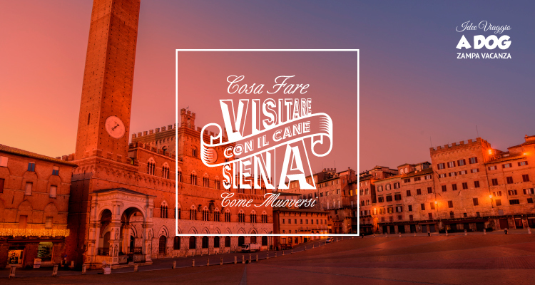 Visitare Siena con il cane - Come muoversi