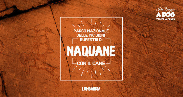 Parco Nazionale delle Incisioni Ruspestri di Naquane con il cane