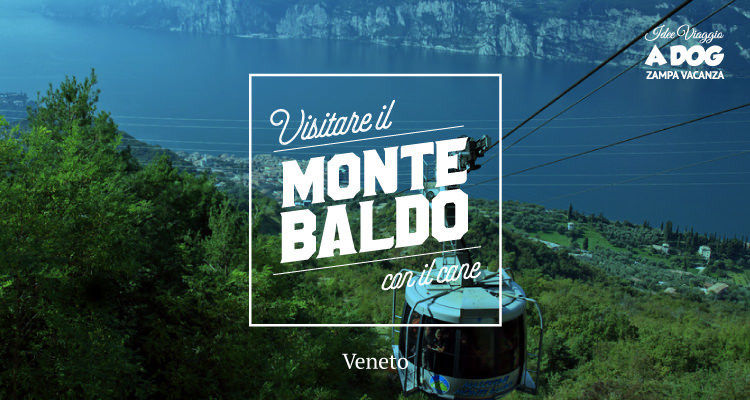 Visitare il Monte Baldo con il cane