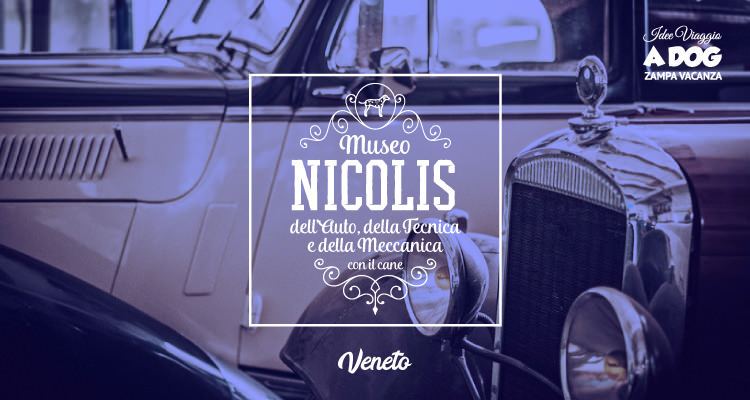 Museo dell'auto "Nicolis" con il cane