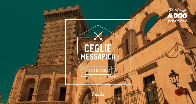 Ceglie Messapica con il cane