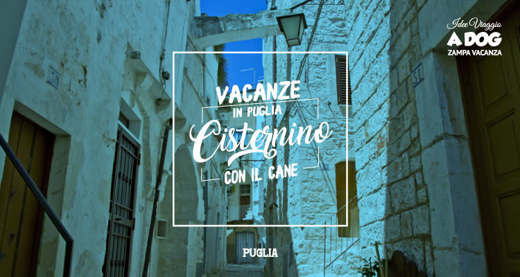 Vacanze in Puglia: Cisternino con il cane