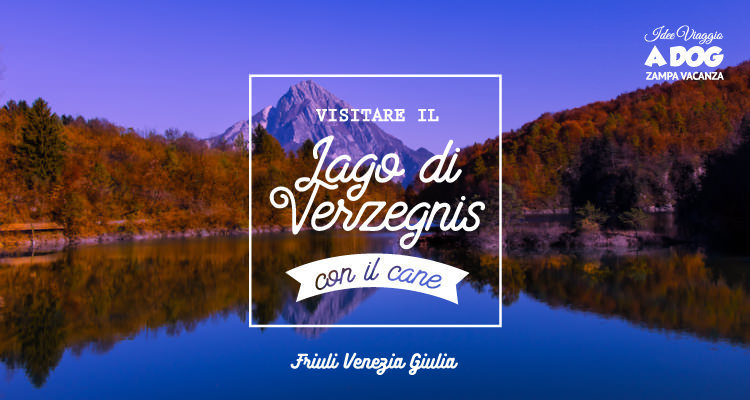 Visitare il Lago di Verzegnis con il cane