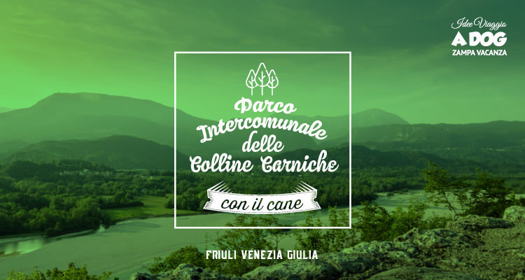 Il Parco Intercomunale delle Colline Carniche con il cane