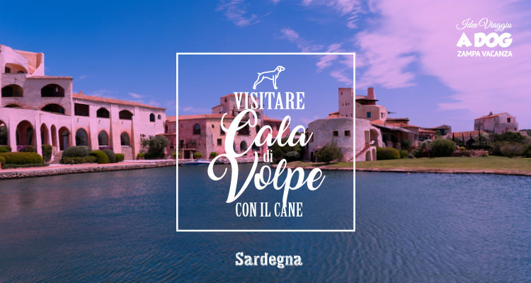 Visitare Cala di Volpe con il cane