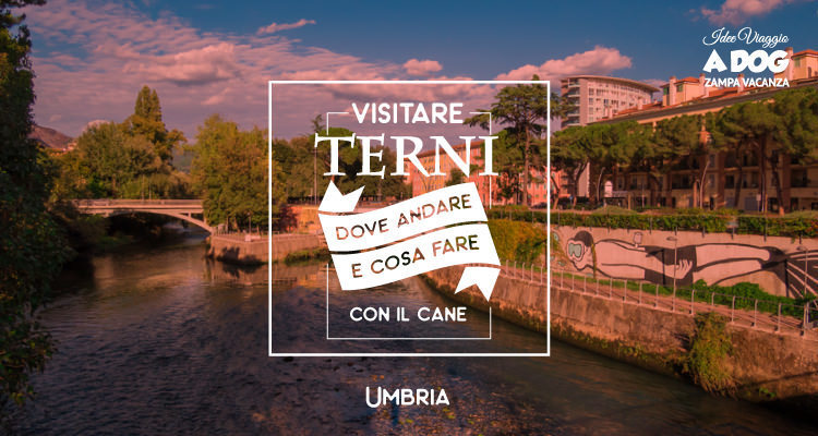 Visitare Terni con il cane, cosa fare e come muoversi