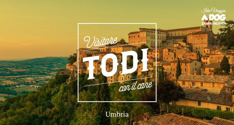 Visitare Todi con il cane