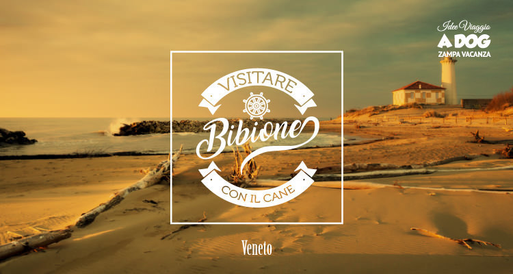 Visitare Bibione con il cane