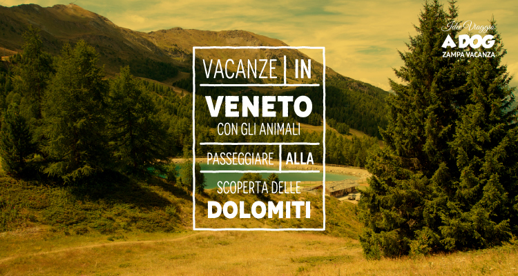 Vacanze in Veneto con gli animali - Passeggiare alla scoperta delle Dolomiti