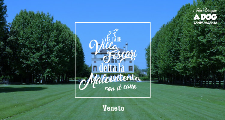 Visitare Villa Foscari detta la Malcontenta con il cane