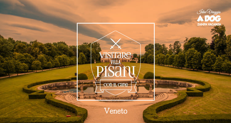 Visitare Villa Pisani con il cane