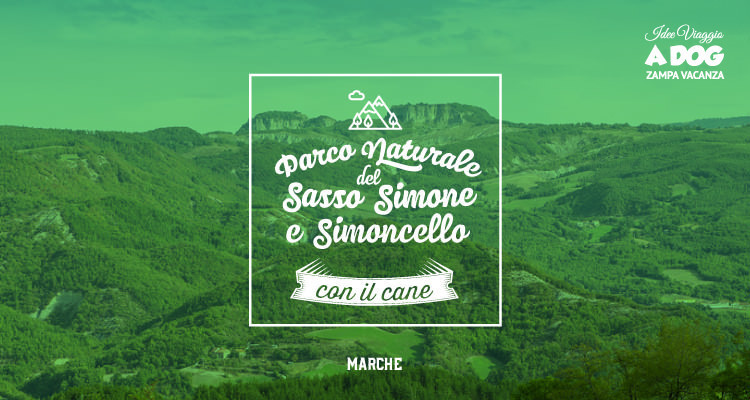 Parco Naturale del Sasso Simone e Simoncello con il cane