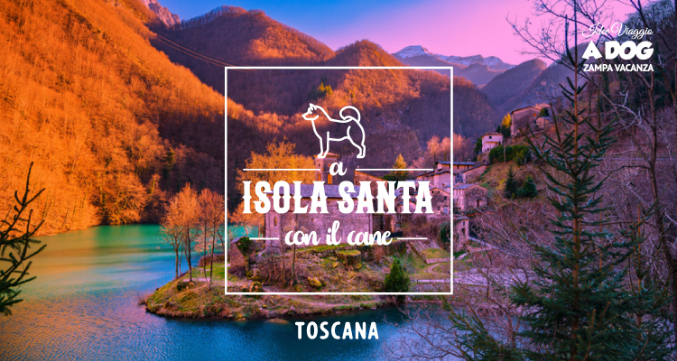 Visitare Isola Santa con il cane