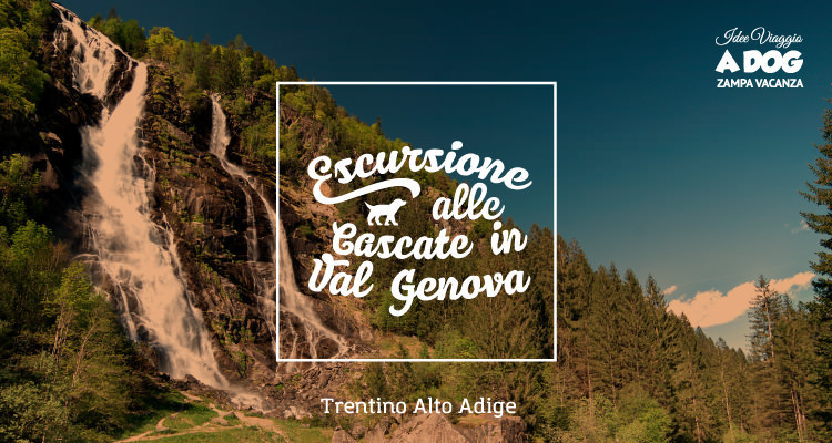 Escursione alle Cascate in Val di Genova