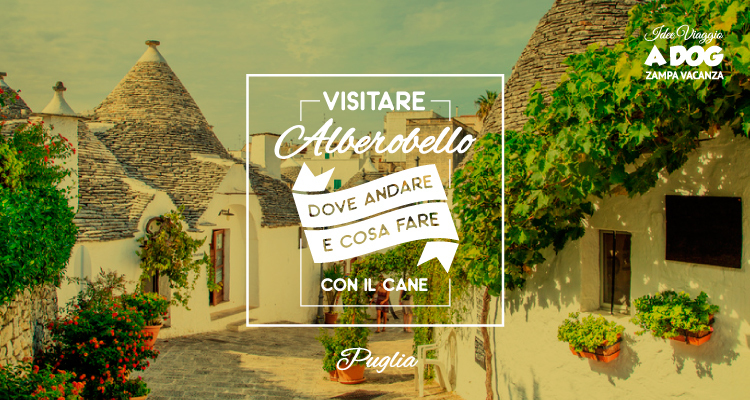 Visitare Alberobello con il cane – Dove andare e cosa fare