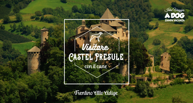 Visitare Castel Presule con il cane