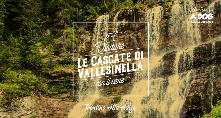 Visitare le Cascate di Vallesinella con il cane