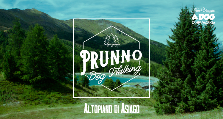 Prunno Dog Walking