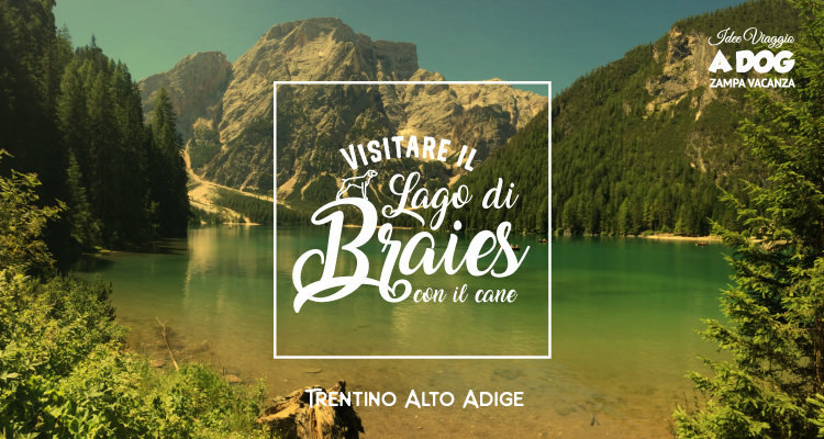 Lago di Braies con il cane