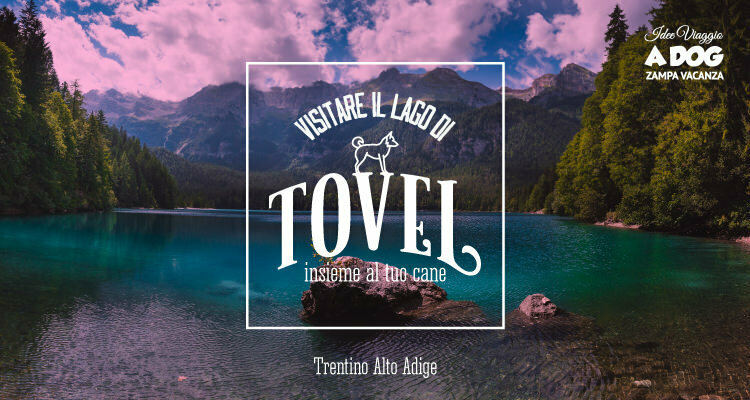 Visitare il lago di Tovel con il cane