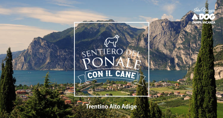 Sentiero del Ponale con il cane