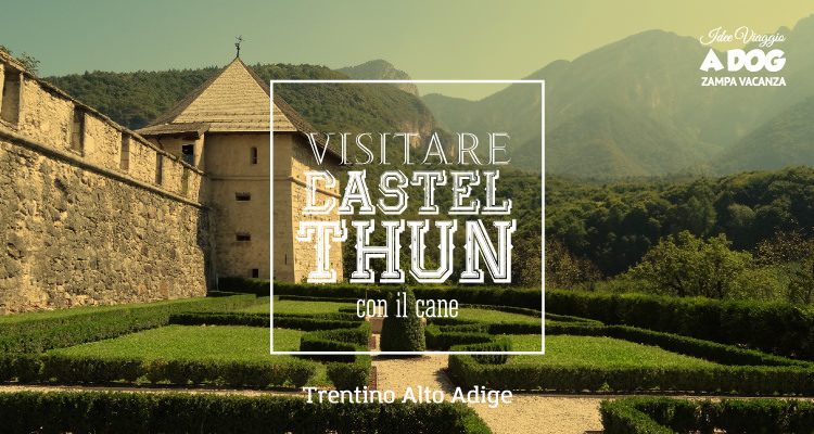 Visitare Castel Thun con il cane