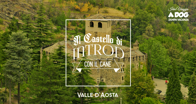 Visitare il Castello di Introd con il cane