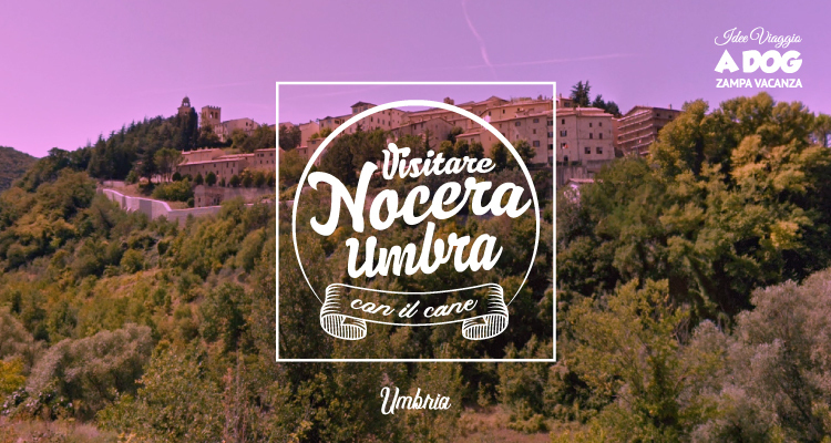 Visitare Nocera Umbra con il cane