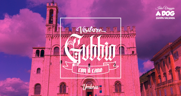 Visitare Gubbio con il cane