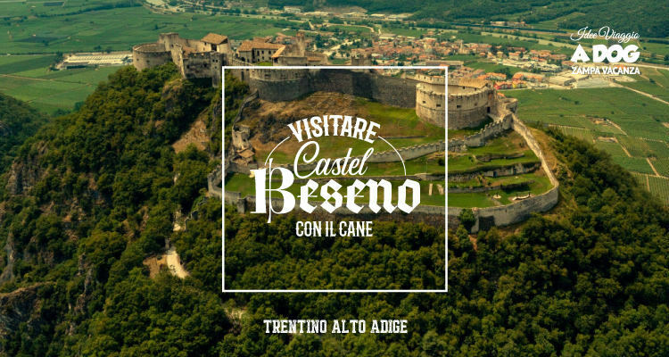 Visitare Castel Beseno con il cane