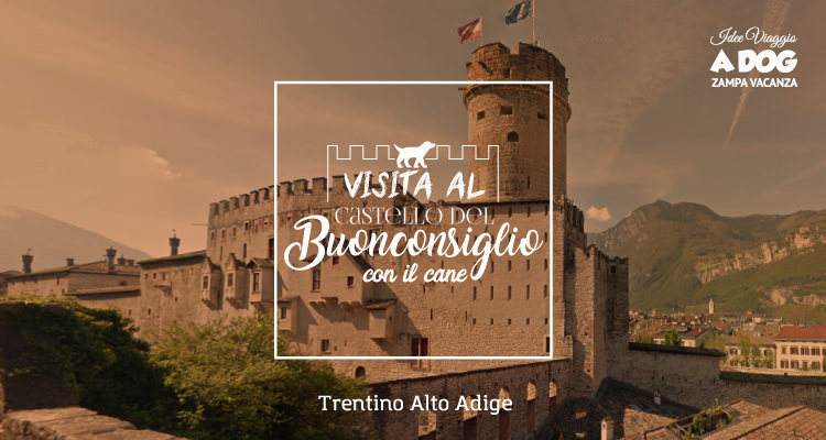 Visitare il Castello del Buonconsiglio con il cane