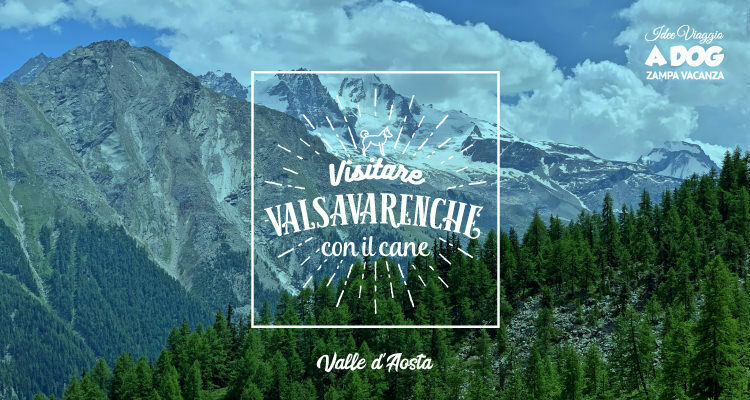 Visitare Valsavarenche con il cane