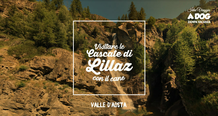 Visitare le Cascate di Lillaz con il cane