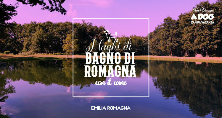 I laghi di Bagno di Romagna con il cane