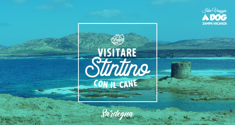 Visitare Stintino con il cane