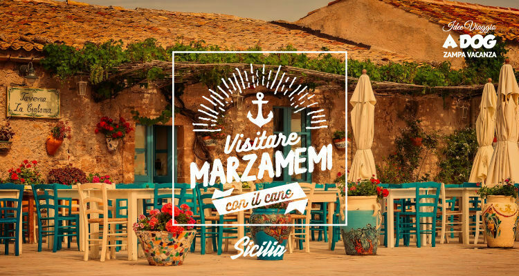 Visitare Marzamemi con il cane