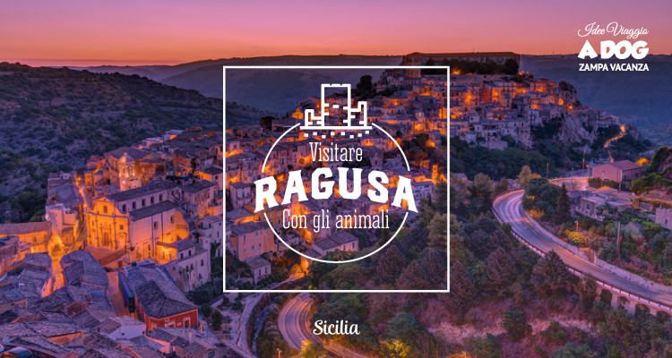 Visitare Ragusa con gli animali