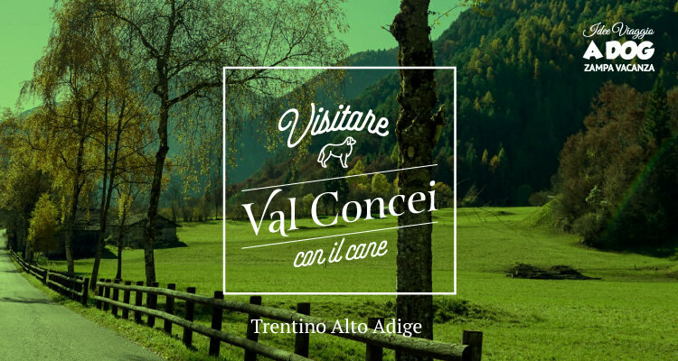 Visitare la Val Concei con il cane