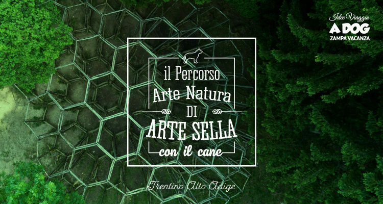 Il Percorso Arte e Natura di Arte Sella con il cane