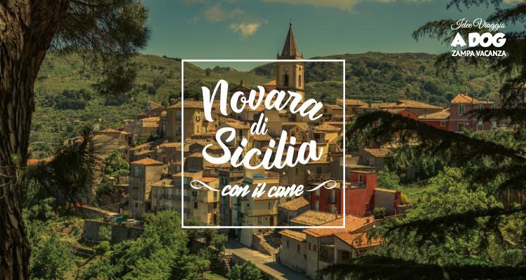 Novara di Sicilia con il cane