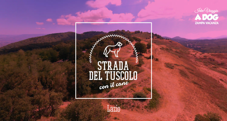 Strada del Tuscolo con il cane