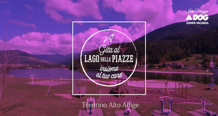 Gita al Lago delle Piazze insieme al tuo cane