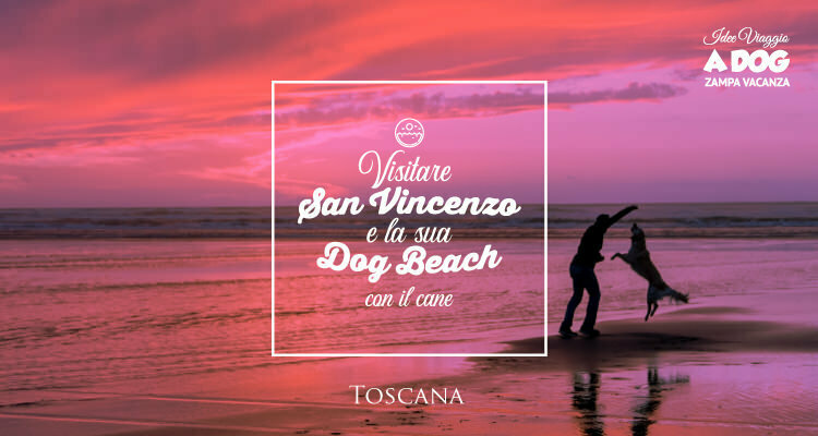 Visitare San Vincenzo e la sua Dog Beach con il cane