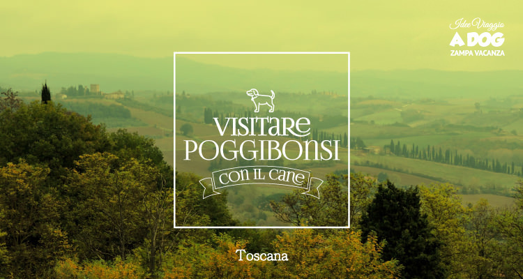 Visitare Poggibonsi con il cane