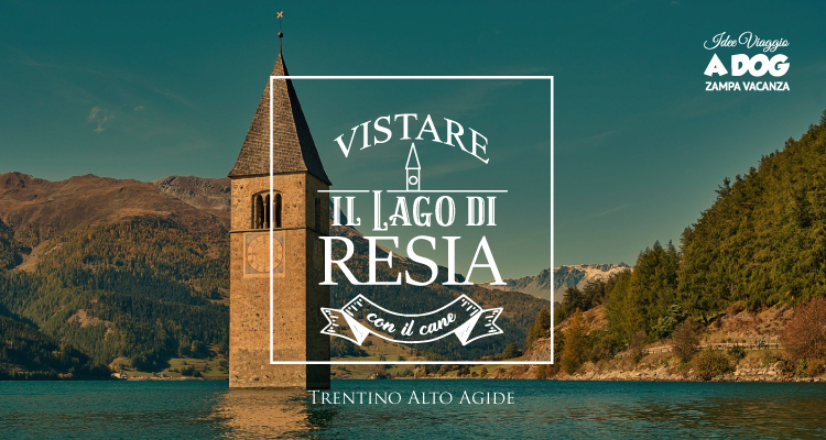 Visitare il Lago di Resia con il cane