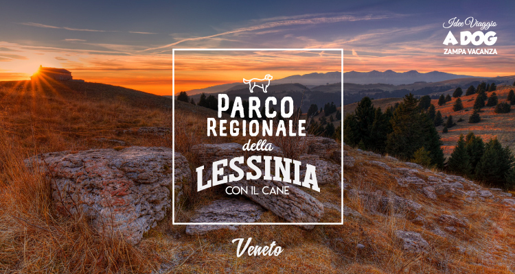 Parco Regionale della Lessinia con il cane